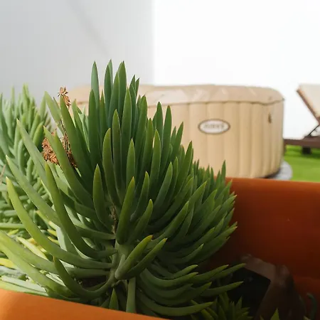Casa Segunda ティアス